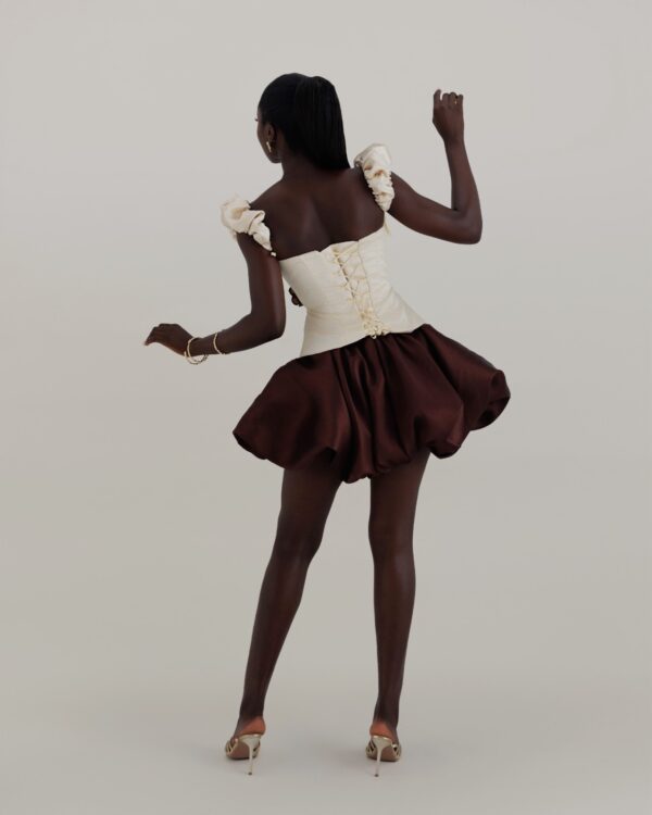 Alternative view of Swan set